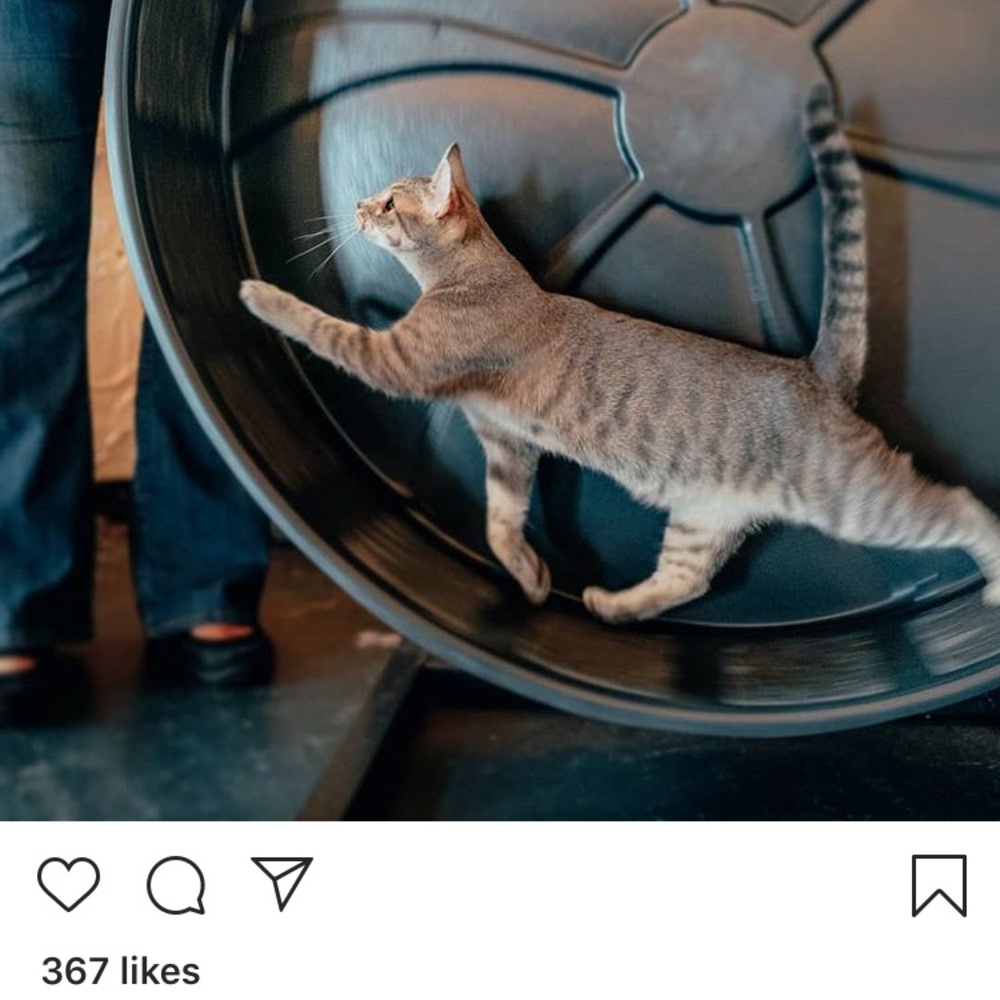 Meet your Posher, Michelle